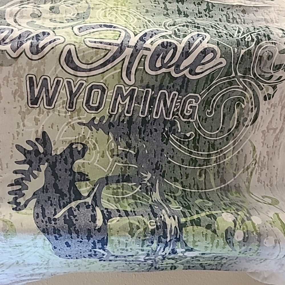 Jackson Hole, Wyoming ladies t-shirt large - Picture 7 of 9